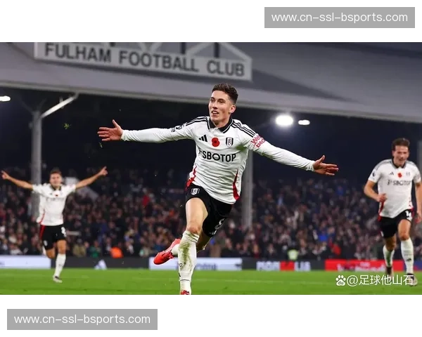 布伦特福德战平对手队内伤病名单已增至七人 布伦特福德战平对手队内伤病名单已增至七人